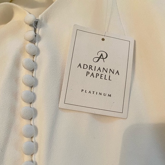 Adrianna Papell Wedding Dress - Never Worn! - Picture 12 of 12